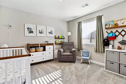 8102 Adams Fork Avenue, Littleton, CO 80125 - Photo 28