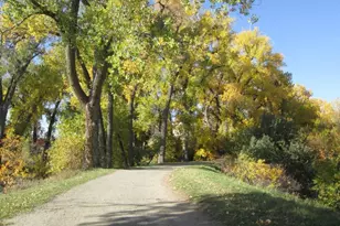 7161 S Vine Circle, Centennial, CO 80122 - Photo 26