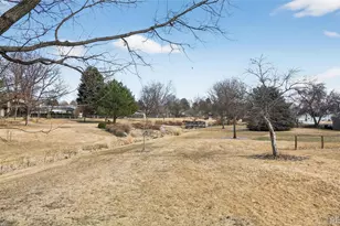 1370 Daphne St, Broomfield, CO 80020 - Photo 32