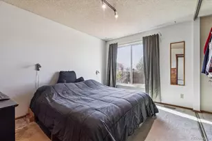 1065 S Lindsey St, Castle Rock, CO 80104 - Photo 10