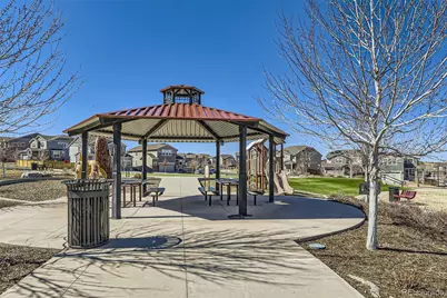 3744 Celestial Avenue, Castle Rock, CO 80109 - Photo 28