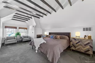 1409 Columbine St, Denver, CO 80206 - Photo 30
