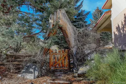 16118 Mountain Bluebird Way, Morrison, CO 80465 - Photo 42