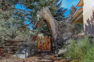 16118 Mountain Bluebird Way, Morrison, CO 80465 - Photo 42