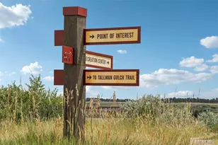 12176 S Hidden Trail Ct, Parker, CO 80138 - Photo 38