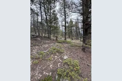 2689 Redhill Road, Fairplay, CO 80440 - Photo 8