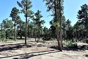 3135 Promise Pt, Colorado Springs, CO 80921 - Photo 26