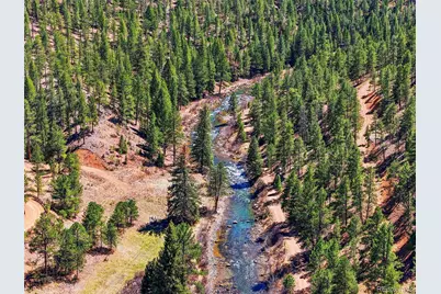 16687 Ouray Road W, Pine, CO 80470 - Photo 42
