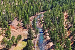 16687 Ouray Rd W, Pine, CO 80470 - Photo 42