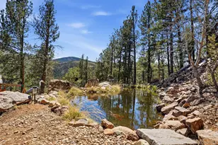 16687 Ouray Rd W, Pine, CO 80470 - Photo 36