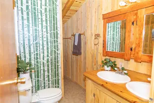 4100 Usfs Rd 515, Creede, CO 81130 - Photo 12