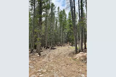 3075 Nugget Road, Fairplay, CO 80440 - Photo 10