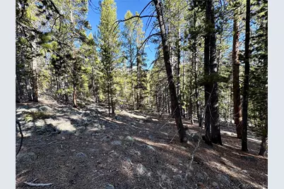 5282 Roy, Leadville, CO 80461 - Photo 4