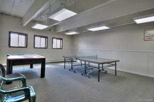 1133 Straight Creek Dr, Dillon, CO 80435 - Photo 24