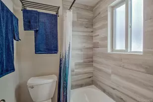 1133 Straight Creek Dr, Dillon, CO 80435 - Photo 14