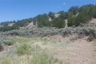 Lot 7510 Charmin Rd, Fort Garland, CO 81133 - Photo 1