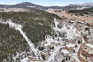 720 Martin Dr, Central City, CO 80427 - Photo 48