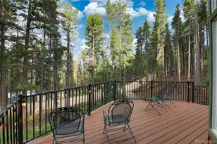 46 Apache Rd, Evergreen, CO 80439 - Photo 42