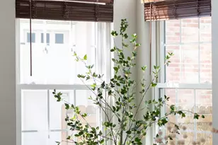 8350 W 87th Dr, Arvada, CO 80005 - Photo 8