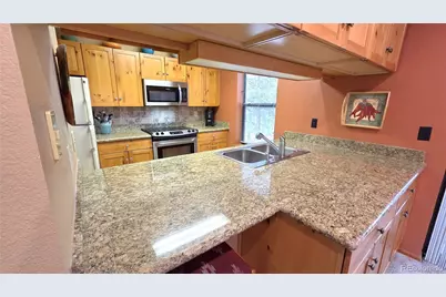 600 S 5th Avenue, Frisco, CO 80443 - Photo 18
