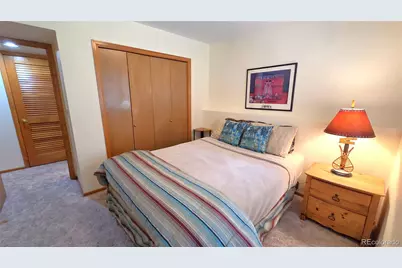 600 S 5th Avenue, Frisco, CO 80443 - Photo 34