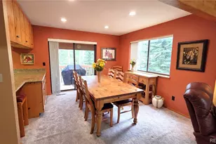 600 S 5th Ave, Frisco, CO 80443 - Photo 10