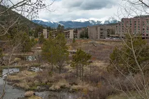1653 Oro Grande Dr, Keystone, CO 80435 - Photo 28