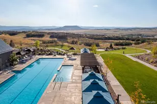 131 Leafy Aster Ln, Castle Rock, CO 80104 - Photo 44