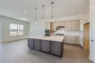 131 Leafy Aster Ln, Castle Rock, CO 80104 - Photo 6