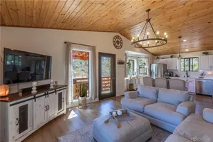 51 Schooley Rd, Bailey, CO 80421 - Photo 4