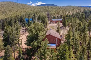 51 Schooley Rd, Bailey, CO 80421 - Photo 28