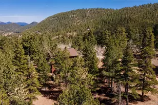 51 Schooley Rd, Bailey, CO 80421 - Photo 30