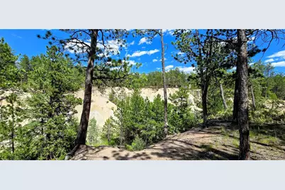 11785 Milam Road, Colorado Springs, CO 80908 - Photo 6