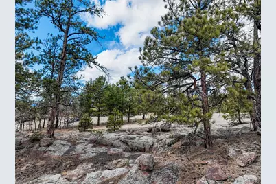 54 Ute Circle, Florissant, CO 80816 - Photo 16