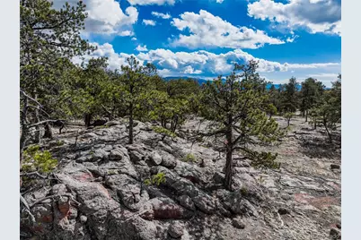 54 Ute Circle, Florissant, CO 80816 - Photo 4