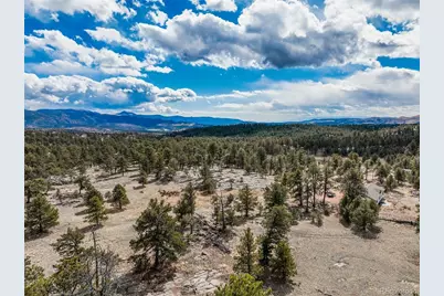 54 Ute Circle, Florissant, CO 80816 - Photo 12