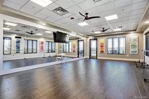 8901 S Ukraine Ct, Aurora, CO 80016 - Photo 46