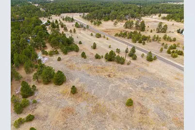12015 Grandin, Elbert, CO 80106 - Photo 4