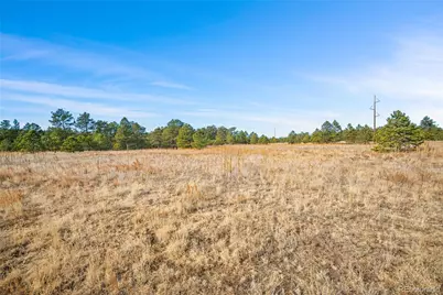 12015 Grandin, Elbert, CO 80106 - Photo 10