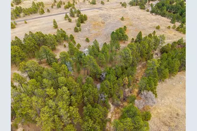 12015 Grandin, Elbert, CO 80106 - Photo 14