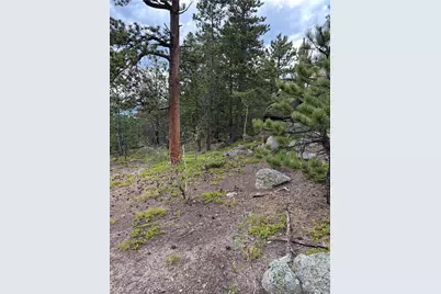850 Lupine Place, Black Hawk, CO 80422 - Photo 8