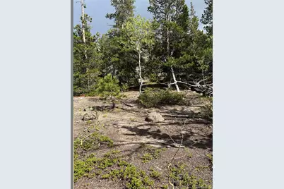 850 Lupine Place, Black Hawk, CO 80422 - Photo 4