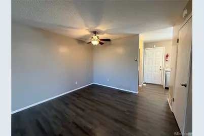 862 Summer Drive, Highlands Ranch, CO 80126 - Photo 12