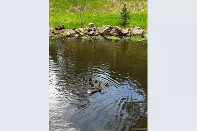 5211 Parmalee Gulch Road, Indian Hills, CO 80454 - Photo 38