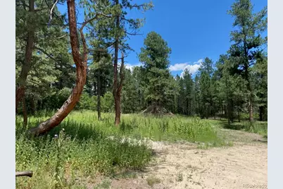 1025 Tenderfoot Drive, Larkspur, CO 80118 - Photo 2