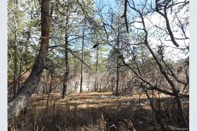 1025 Tenderfoot Drive, Larkspur, CO 80118 - Photo 4