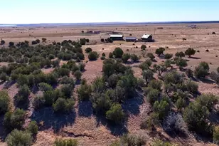 965 Newton Rd, Pueblo, CO 81005 - Photo 40