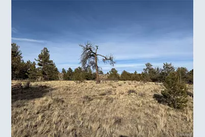 Oak Street, Hartsel, CO 80449 - Photo 4