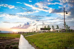 6227 N Nepal St, Aurora, CO 80019 - Photo 20