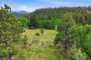 31280 Florence Rd, Conifer, CO 80433 - Photo 40